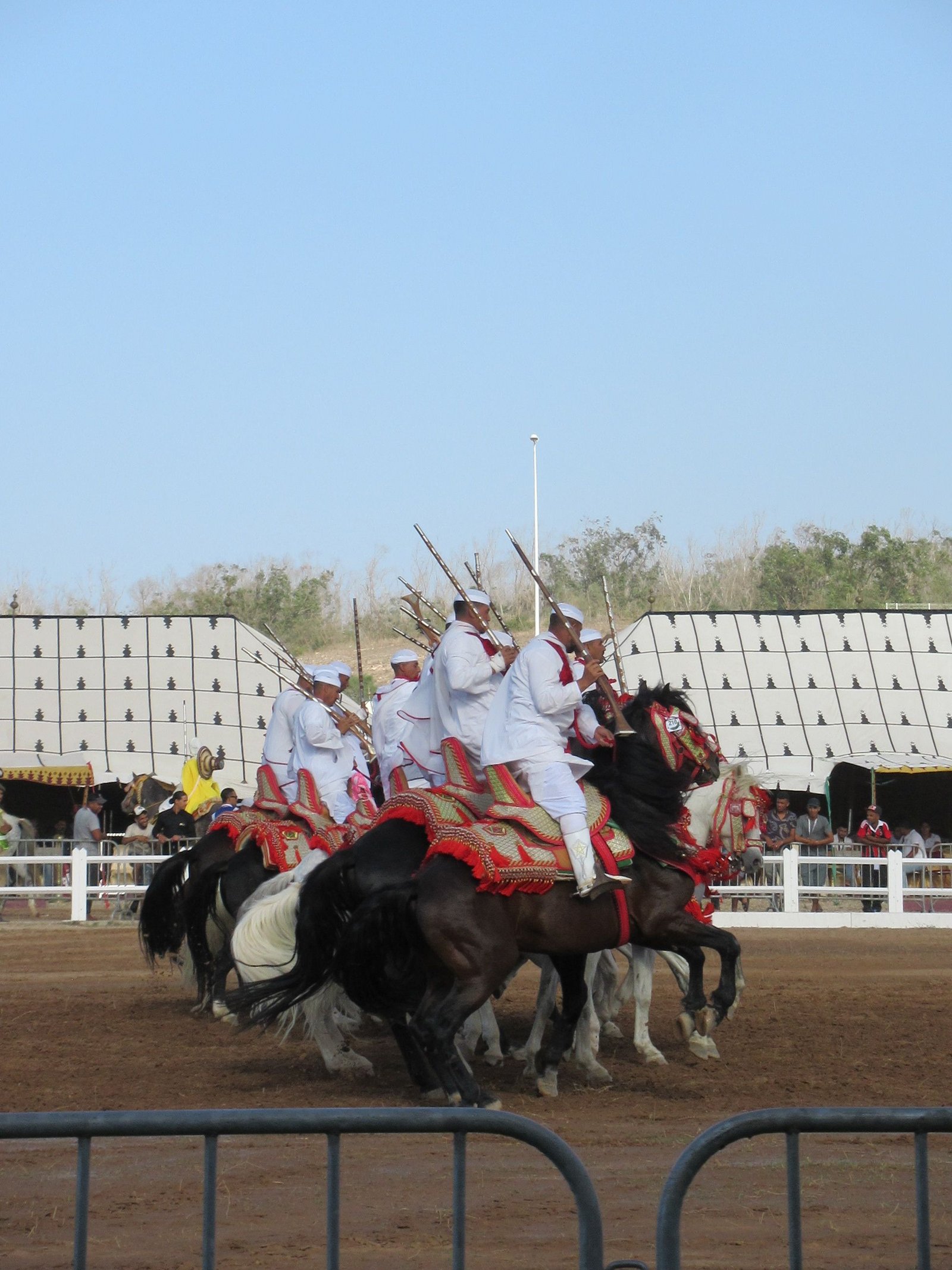 Démonstration de fantasia salon du cheval El Jadida