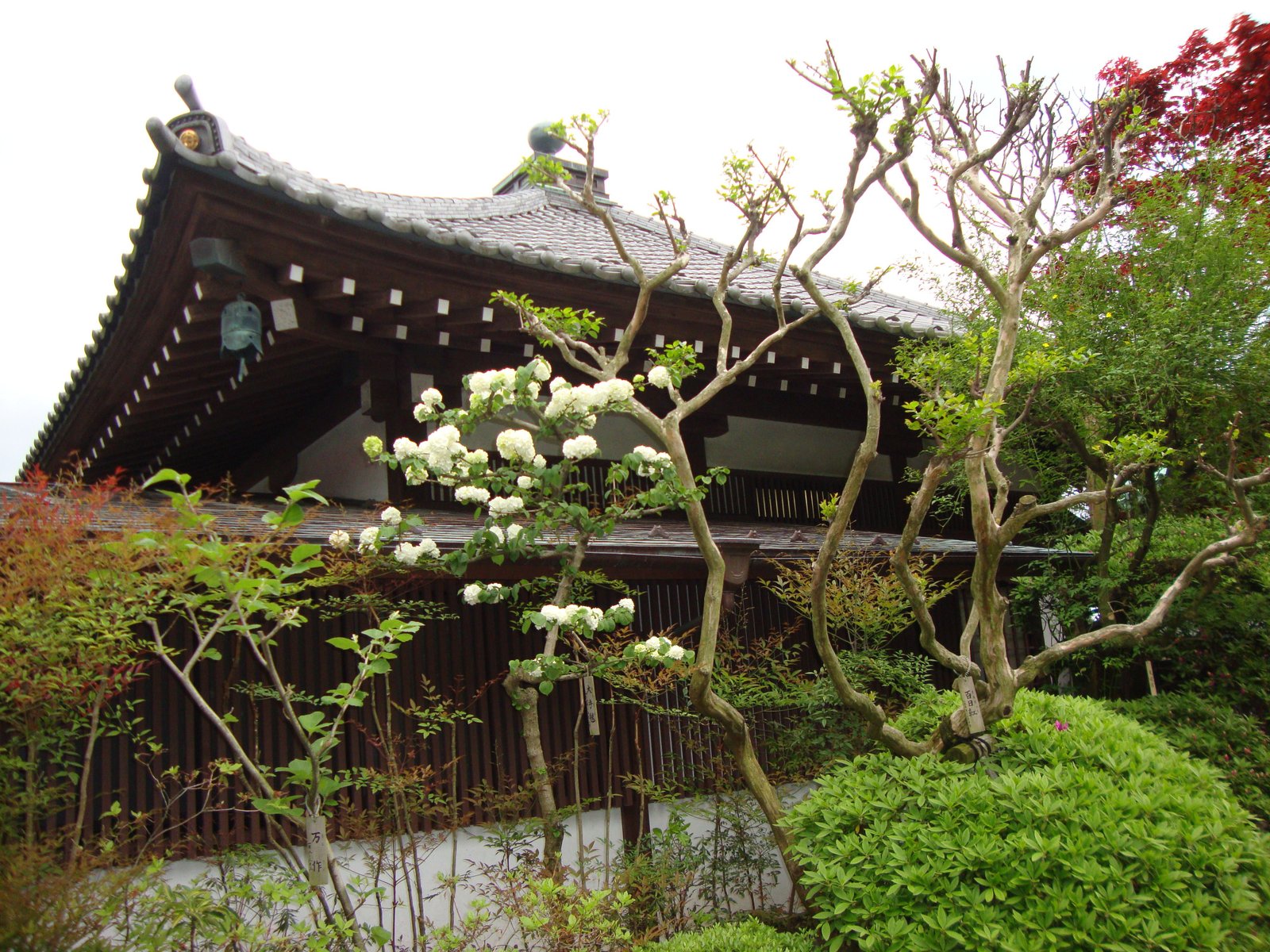 Maison traditionnelle du Japon entourée de verdure photo gratuite