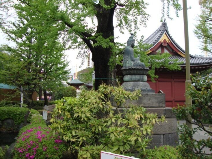 Bouddha au cœur du jardin sacré photo gratuite