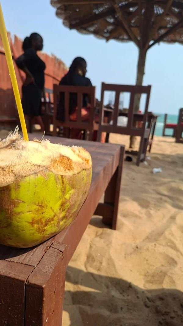 Noix de coco ouverte avec la paille, photo gratuite