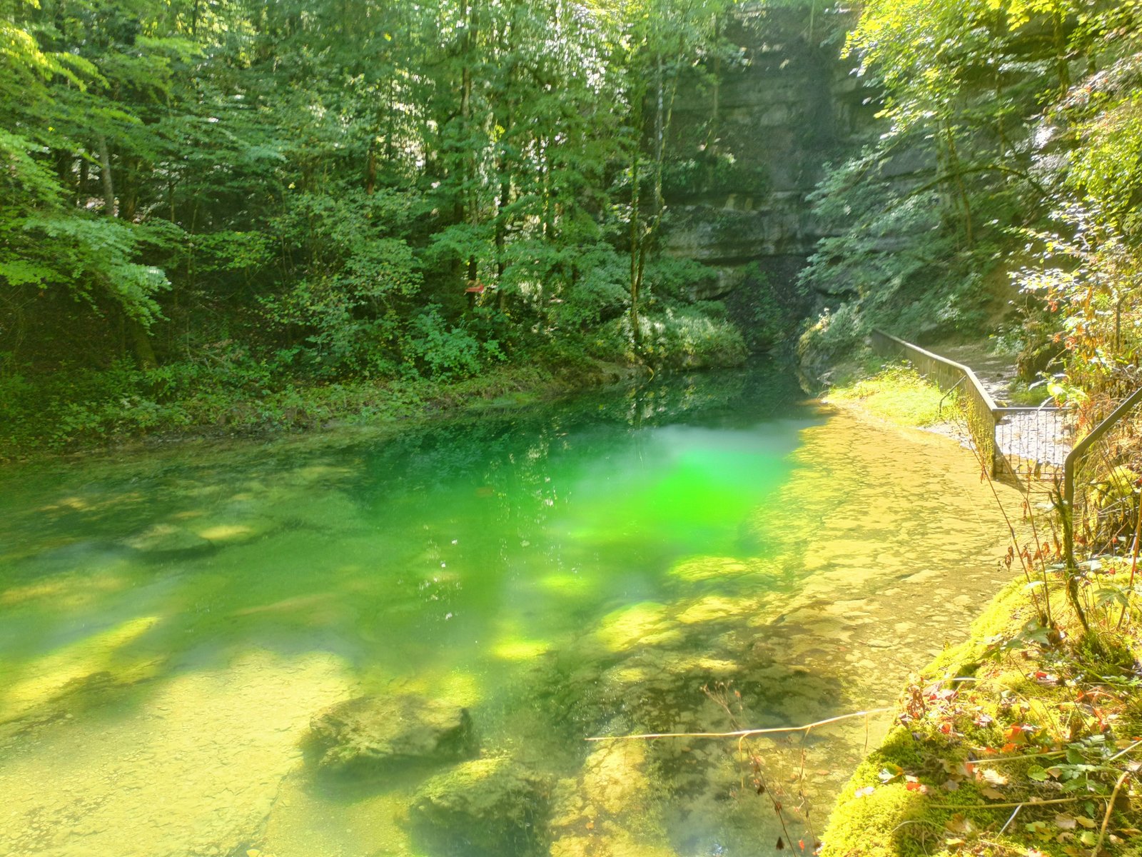 La source de l'Ain entourée d'une forêt, photo gratuite