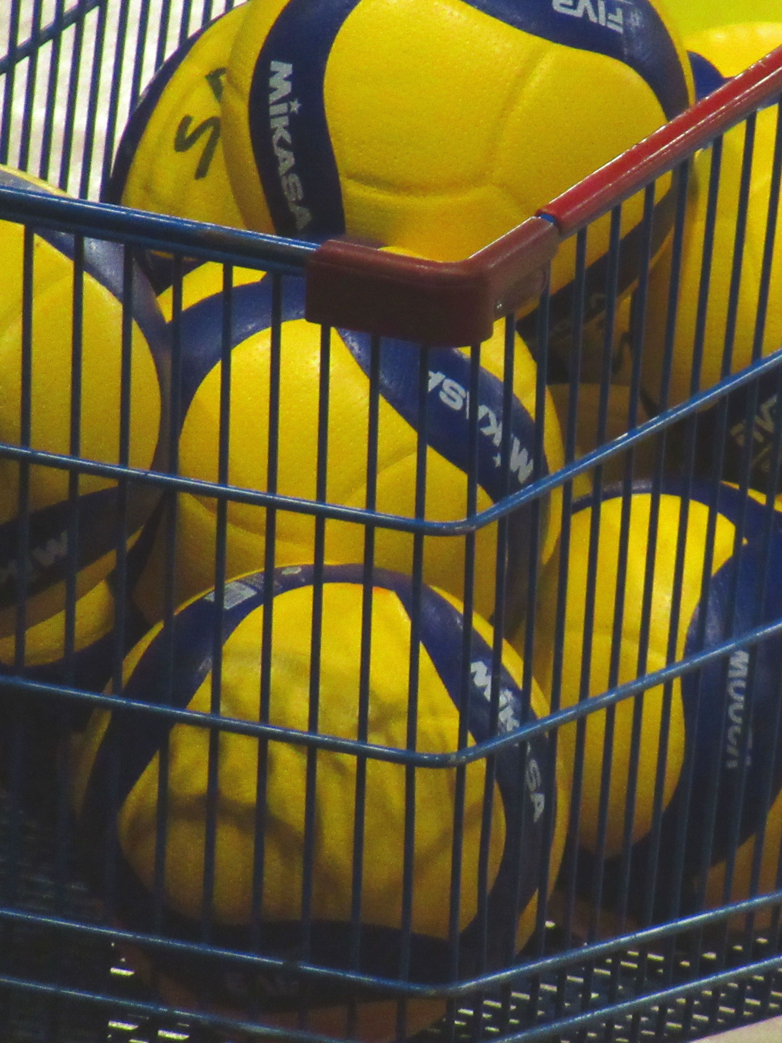 Ballon de volley-ball
