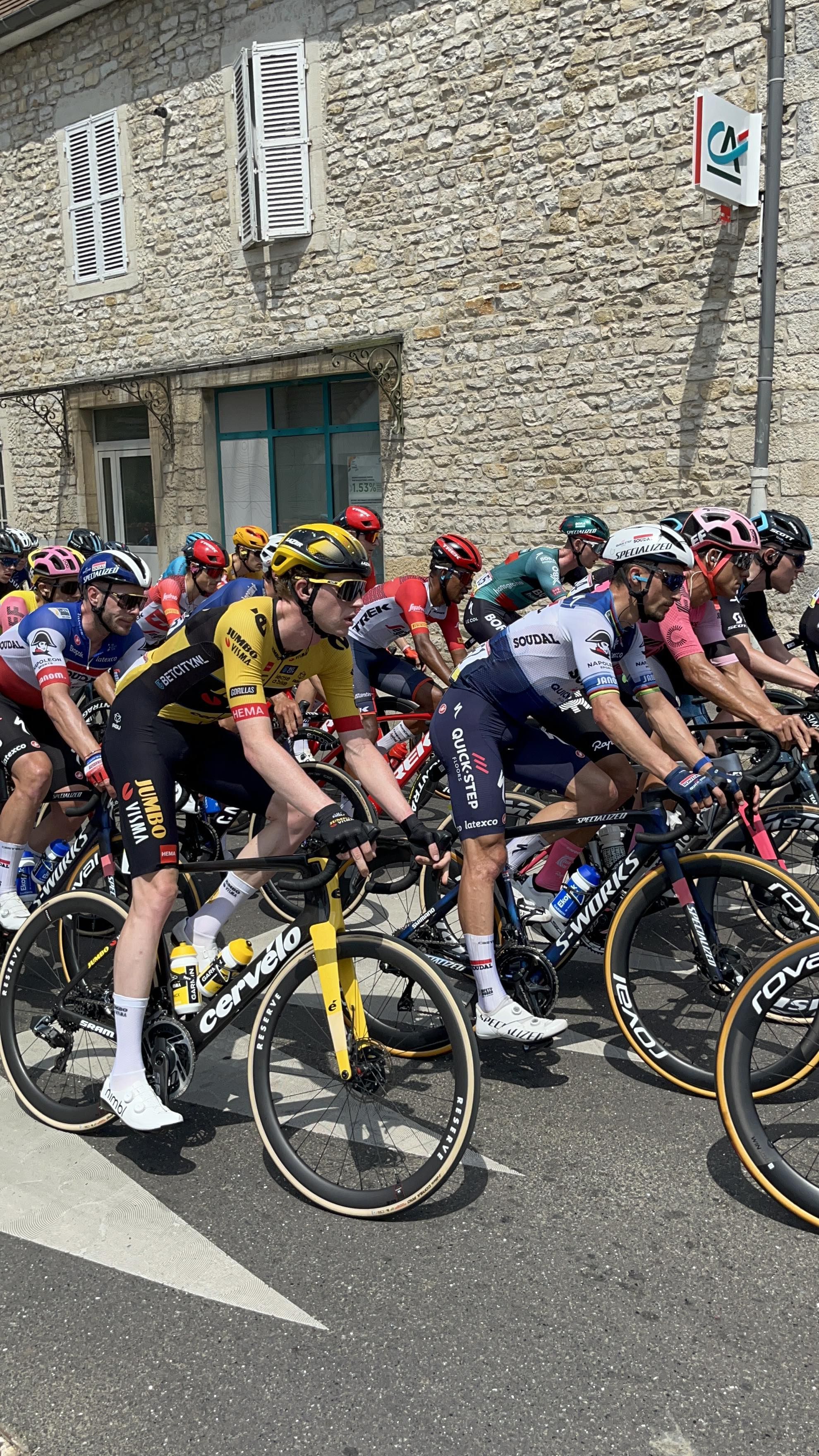 Julian Alaphilippe en course