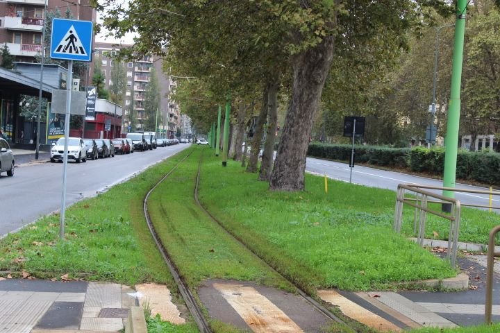 Ligne de tramway passant sous les arbres entre deux goudrons dans la ville de Milan Lombardie en Italie photo gratuite