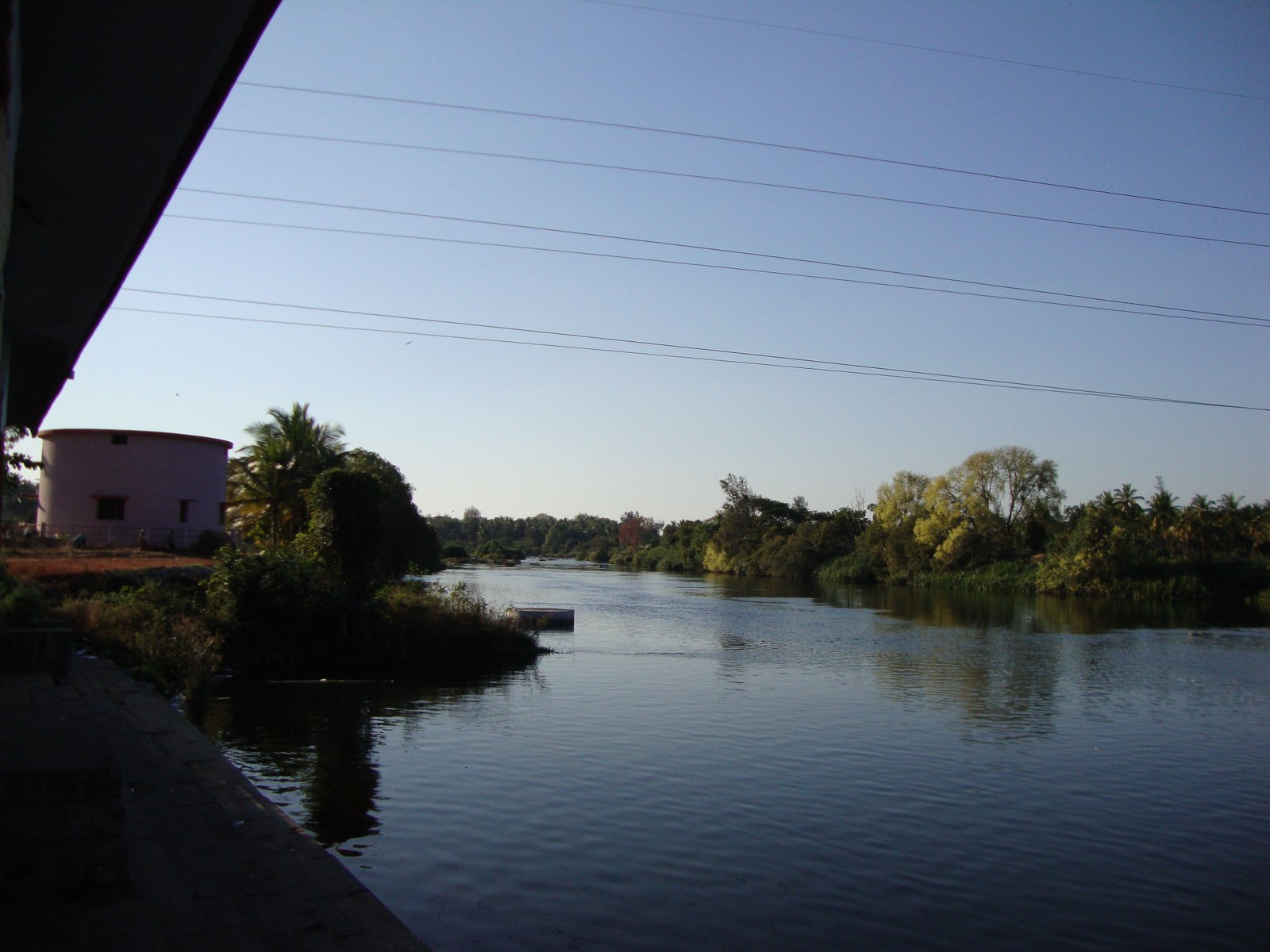 Un paysage avec un cours d'eau, une rivière, bordé de végétation et d'arbres, photo gratuite