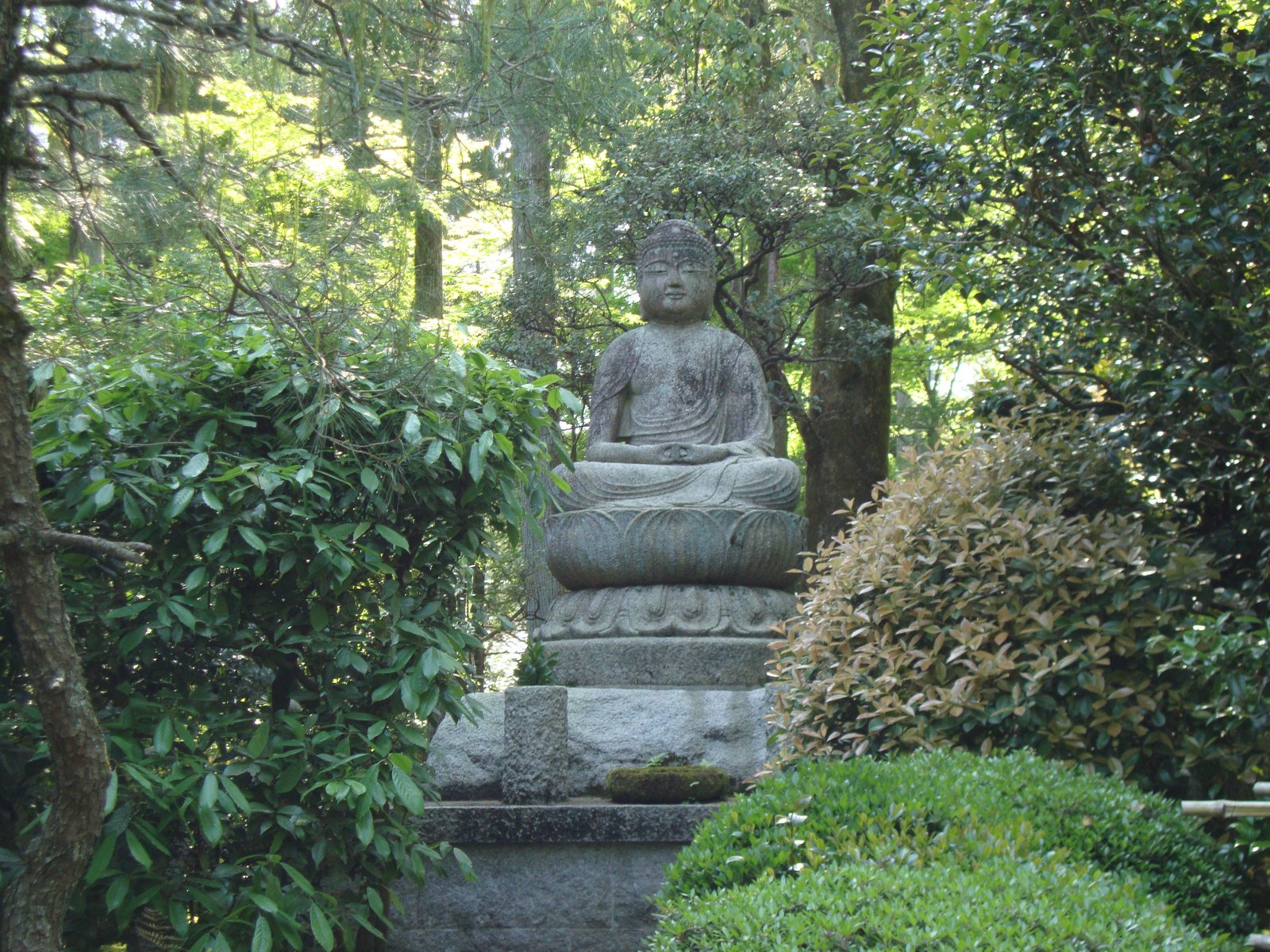Une statue de Bouddha dans un cadre de jardin, photo gratuite