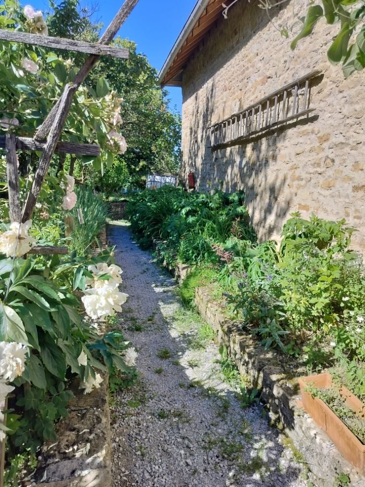 Un chemin de jardin bordé de plantes et d'un mur, photo gratuite