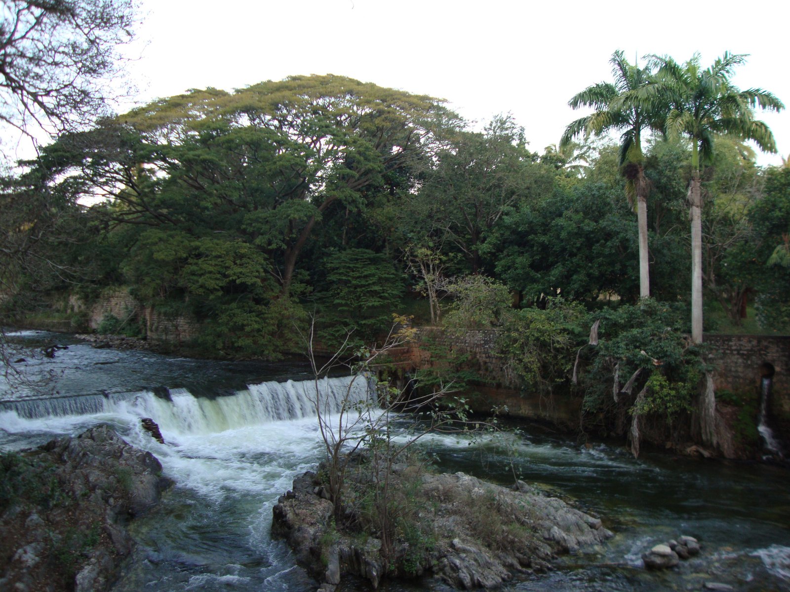 Un paysage naturel comprenant une rivière avec une cascade, où l'eau s'écoule sur des rochers, une végétation, avec de grands arbres et des palmiers, des structures en pierre, photo gratuite