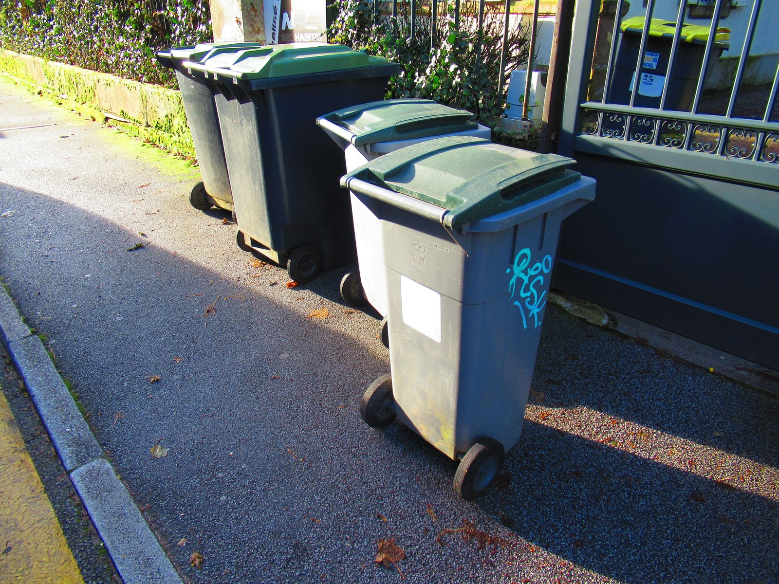 Poubelles alignées sur un trottoir photo gratuite