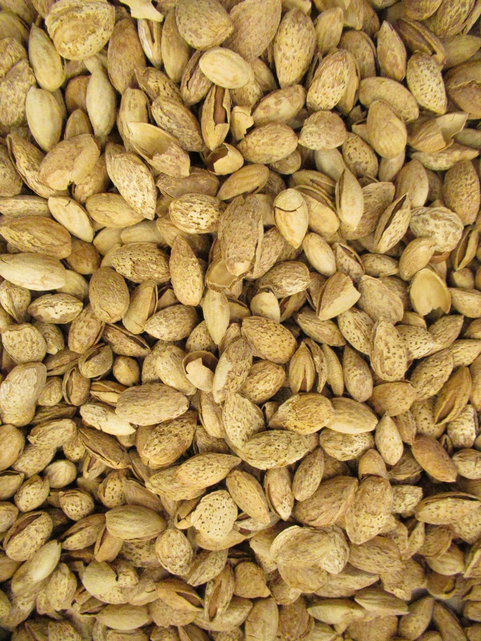 Amandes décortiquées