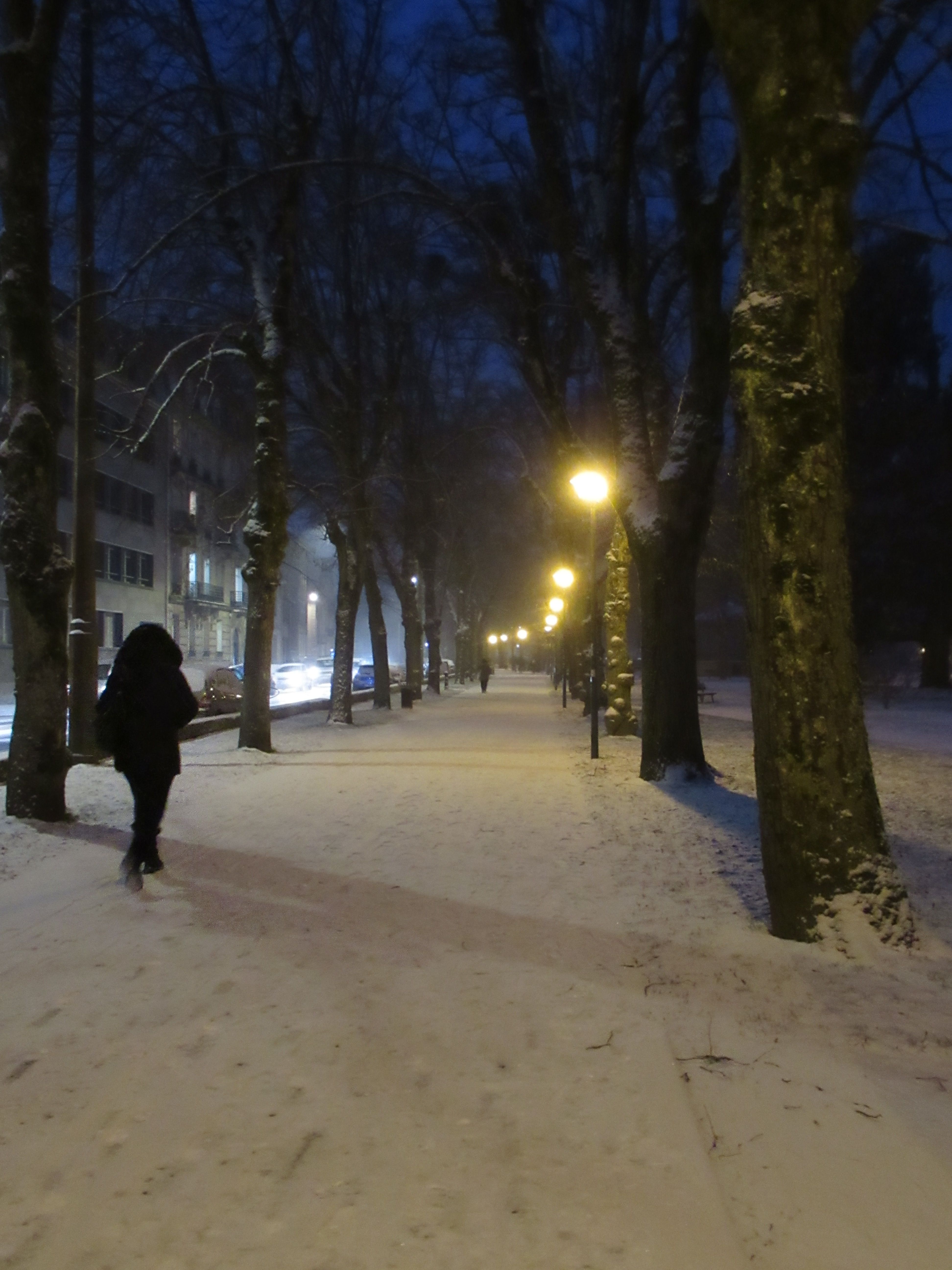 Parc en hiver éclairé la nuit