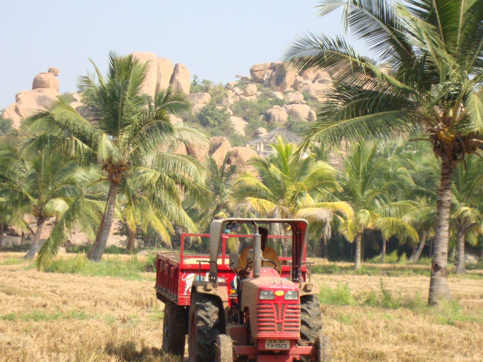 Paysage rural à Hampi, en Inde, montrant un tracteur dans un champ cultivé, entouré de palmiers et avec des formations rocheuses distinctives en arrière-plan, photo gratuite
