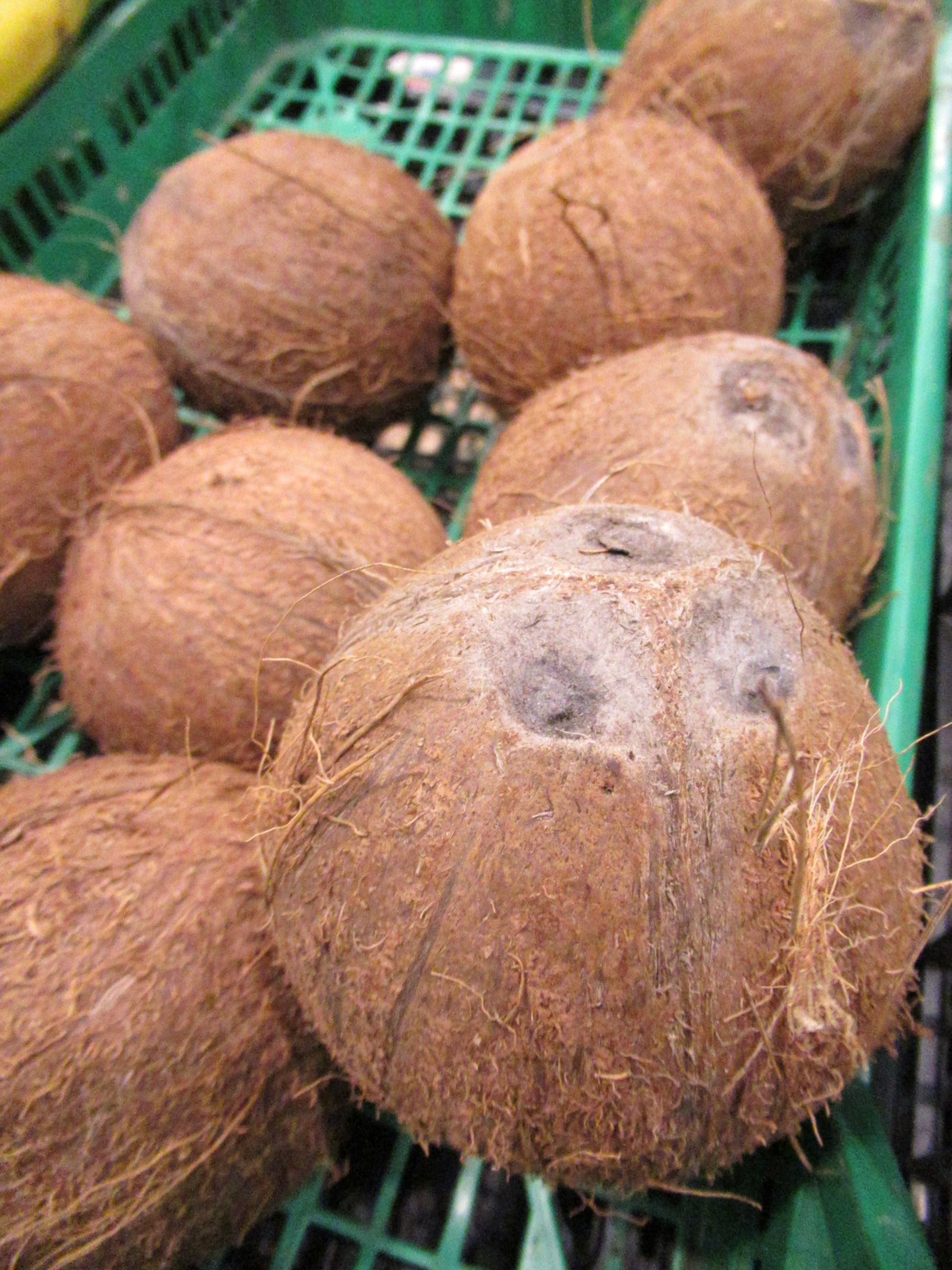Pile de noix de coco dans un panier
