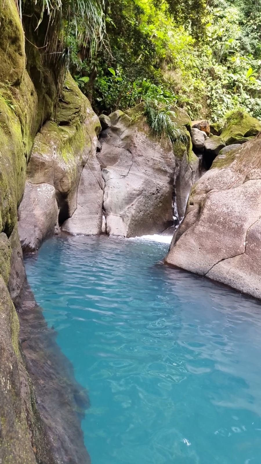 Bassin bleu en Guadeloupe