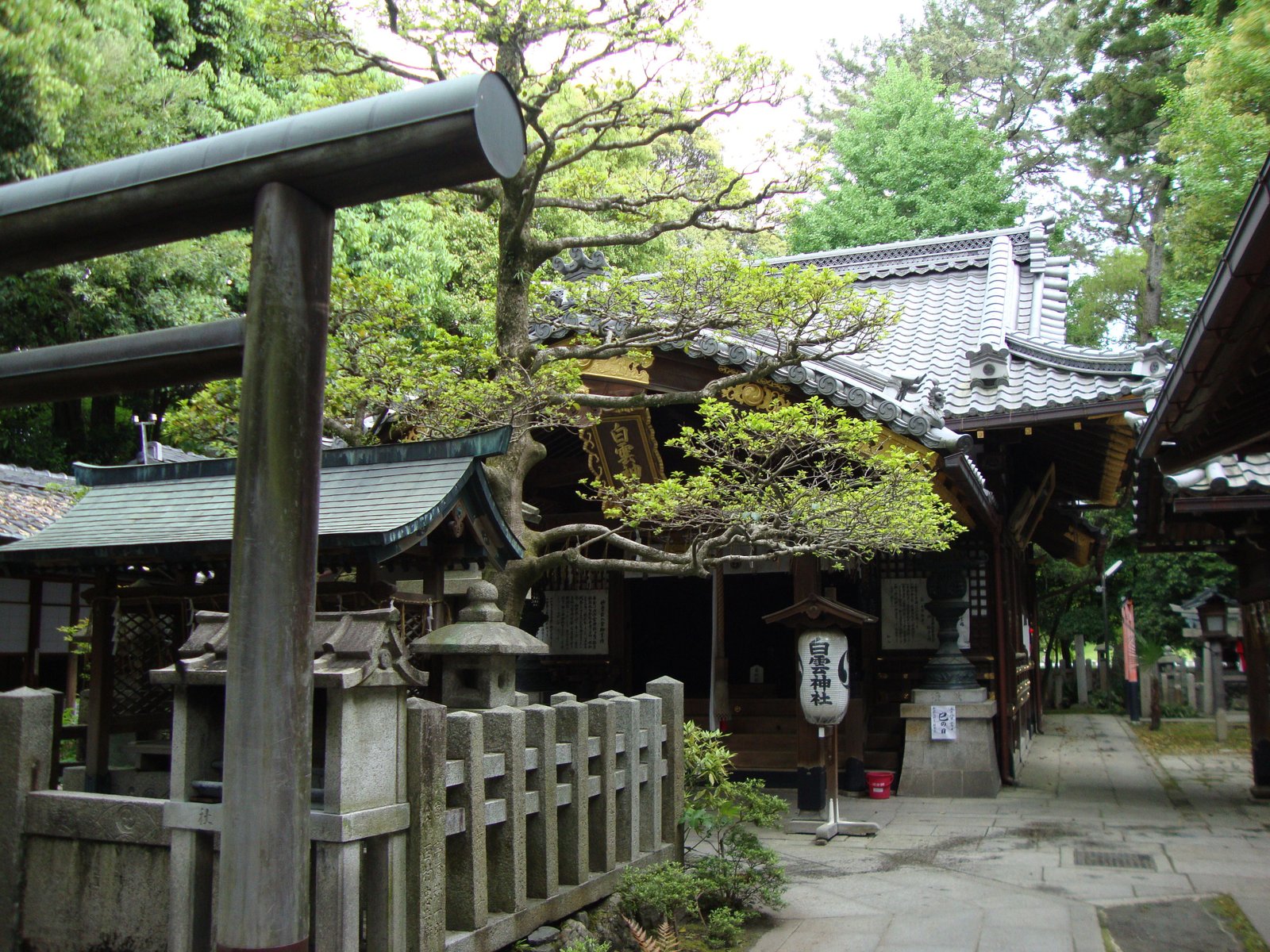 Entrée du Sanctuaire Shirakumo à Kyoto au Japon en Asie photo gratuite