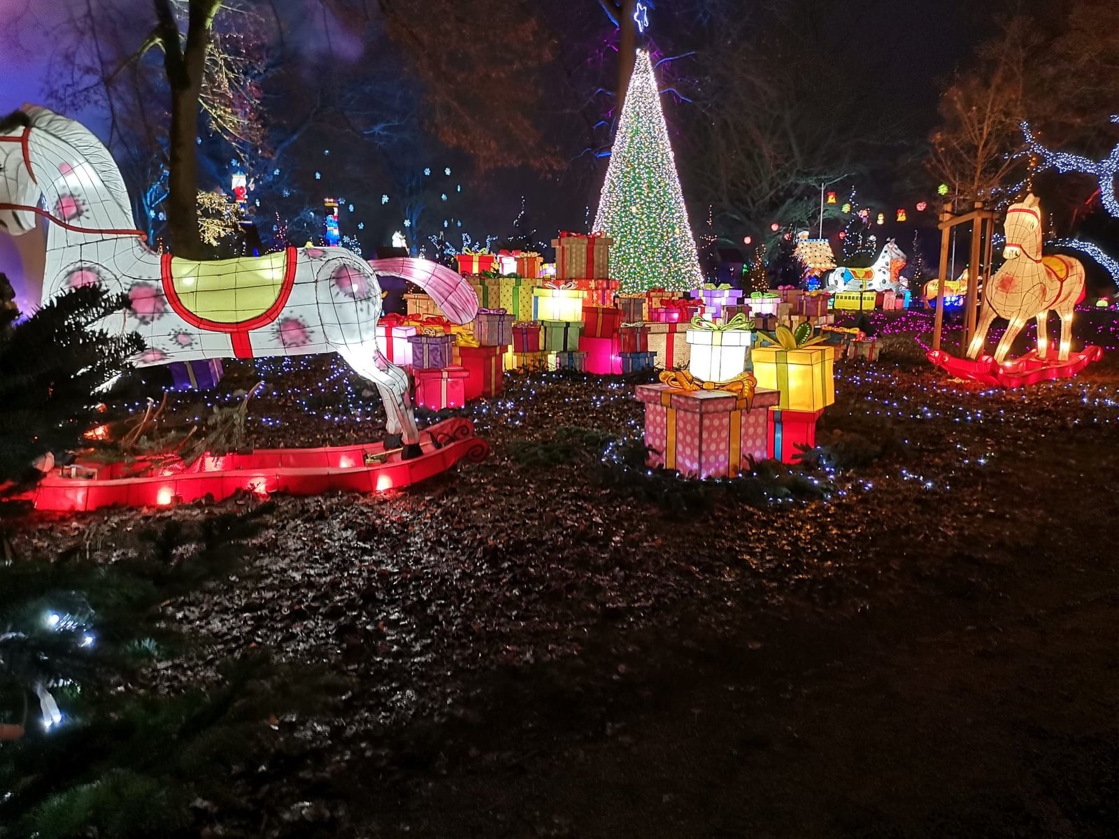 Sapin et cadeaux illuminés au sentier des lanternes à Metz