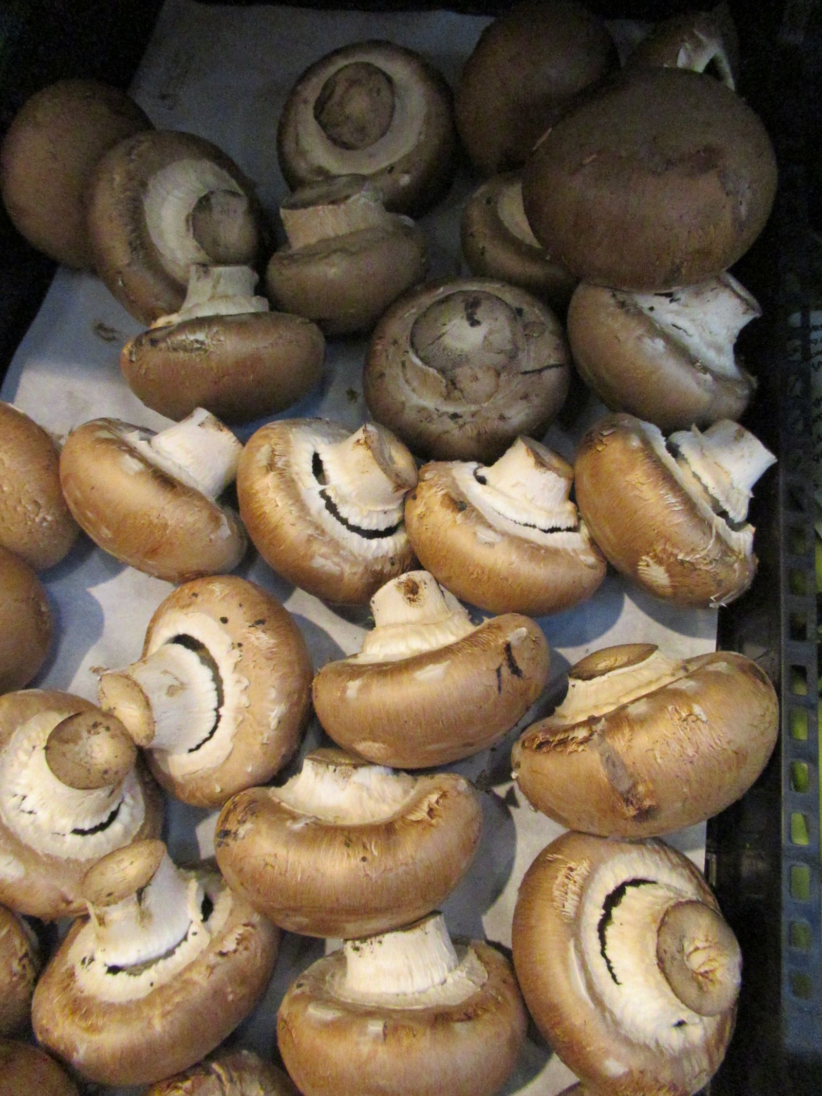 Tas de champignons