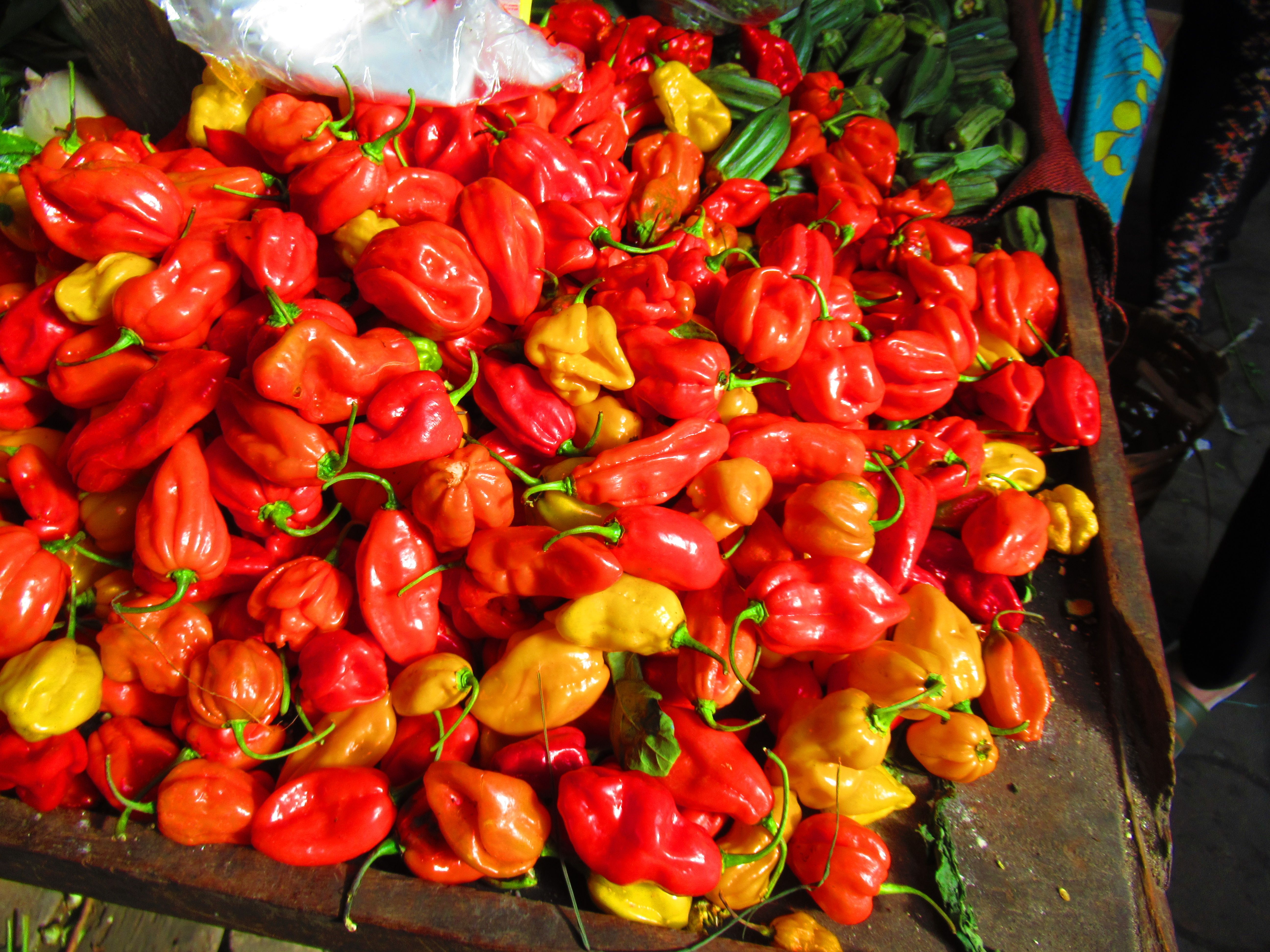 Petits piments rouges