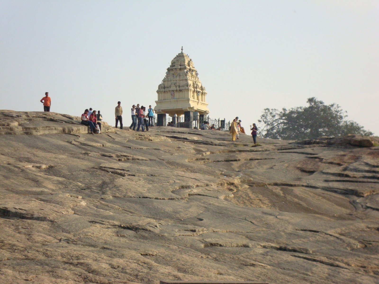 Tour du jardin botanique  de Lalbagh