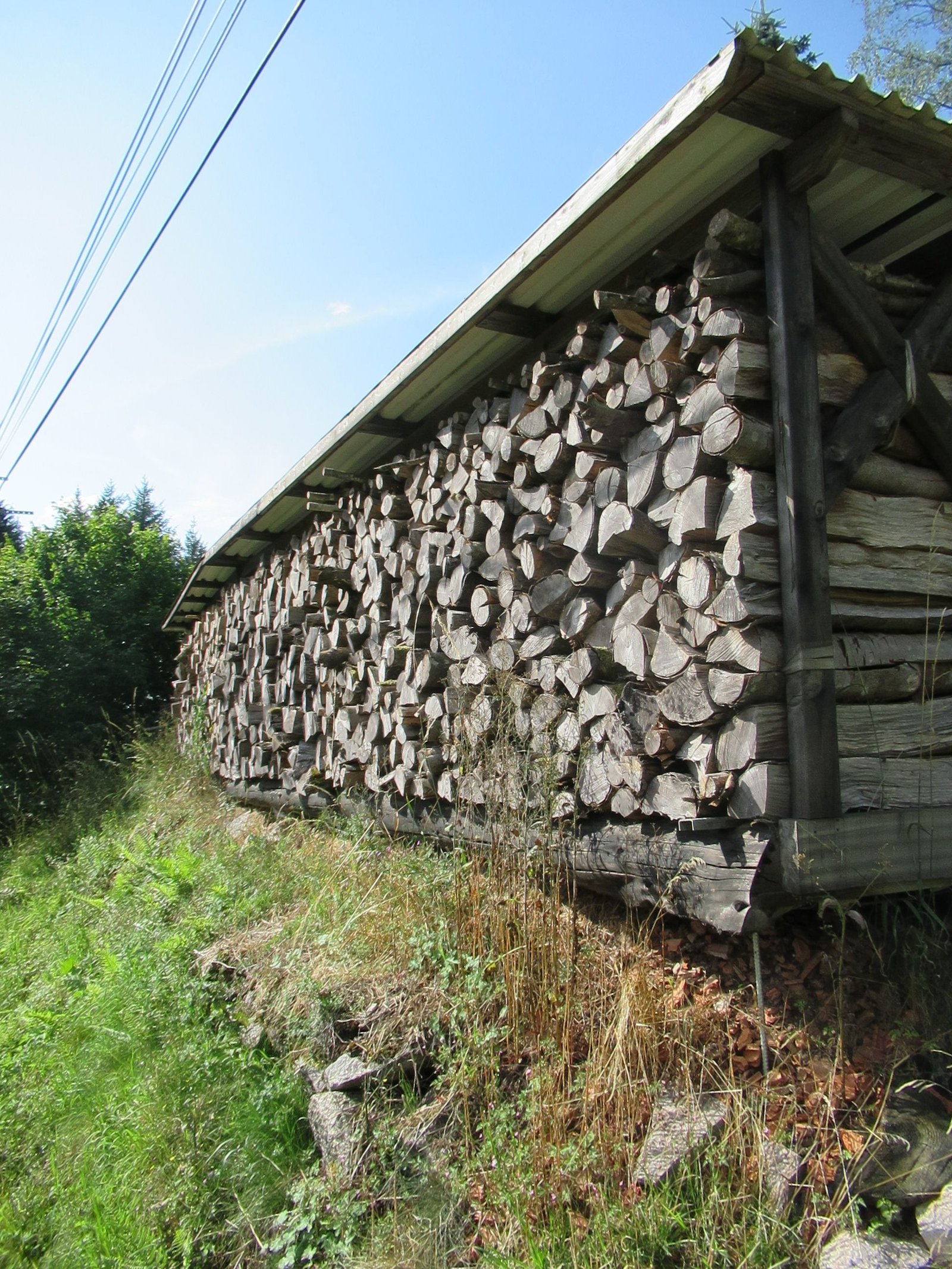 Tas de bois de chauffage