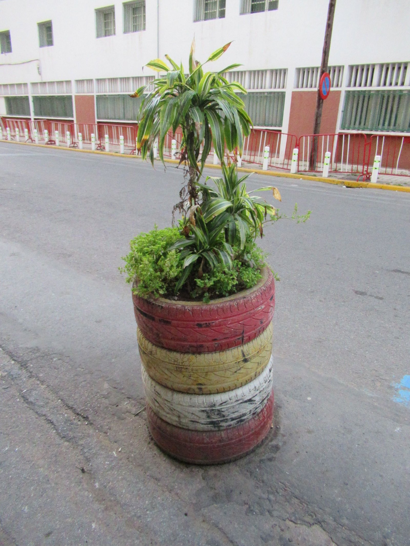 bac à fleurs de la rue