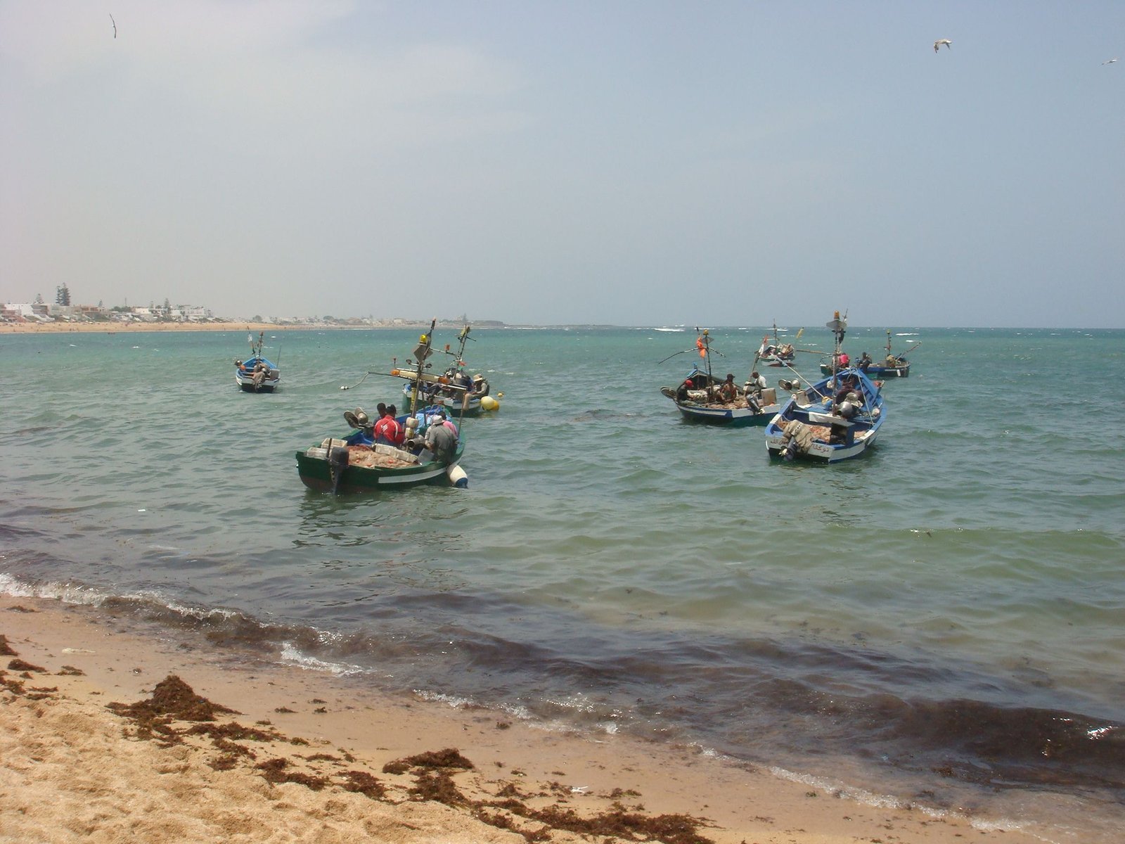 Plusieurs barques de pêche amarrées à proximité du rivage photo gratuite