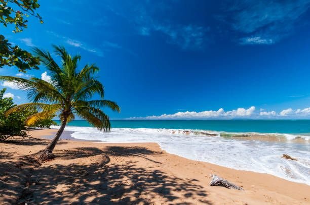 Plage de la Perle en Guadeloupe