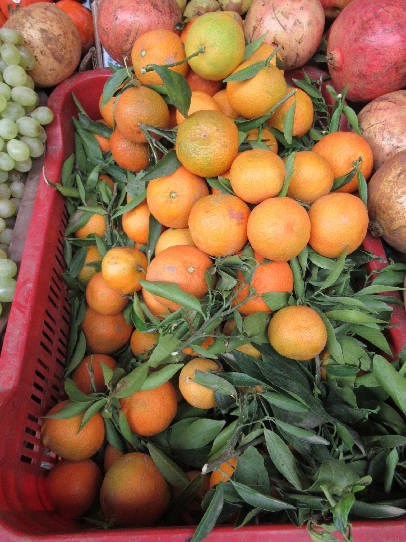 Panier de fruits oranges à vendre dans marché photo gratuite
