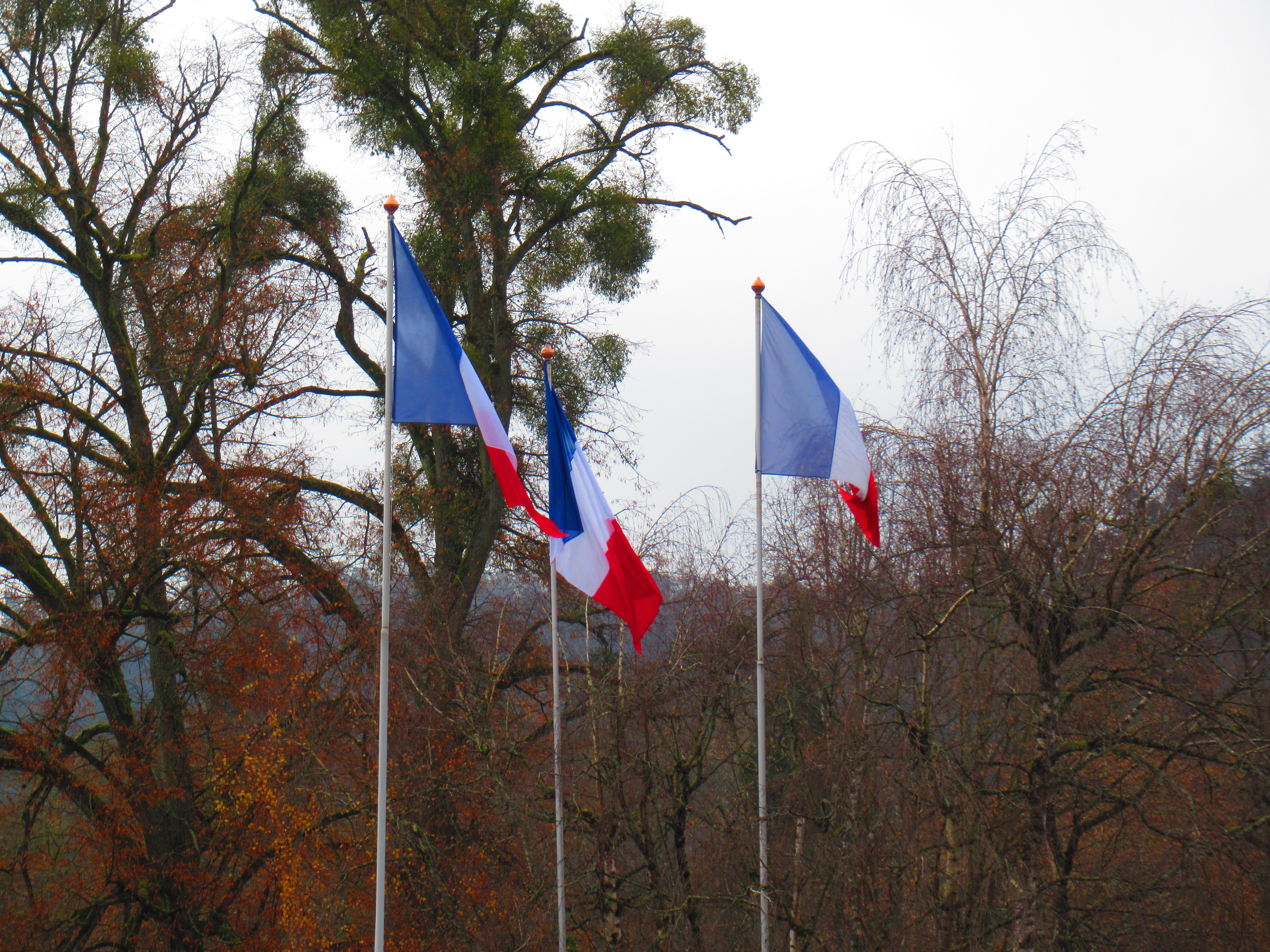Drapeaux français entourés d'arbres photo gratuite - Französische Flaggen umgeben von Bäumen, kostenloses Foto