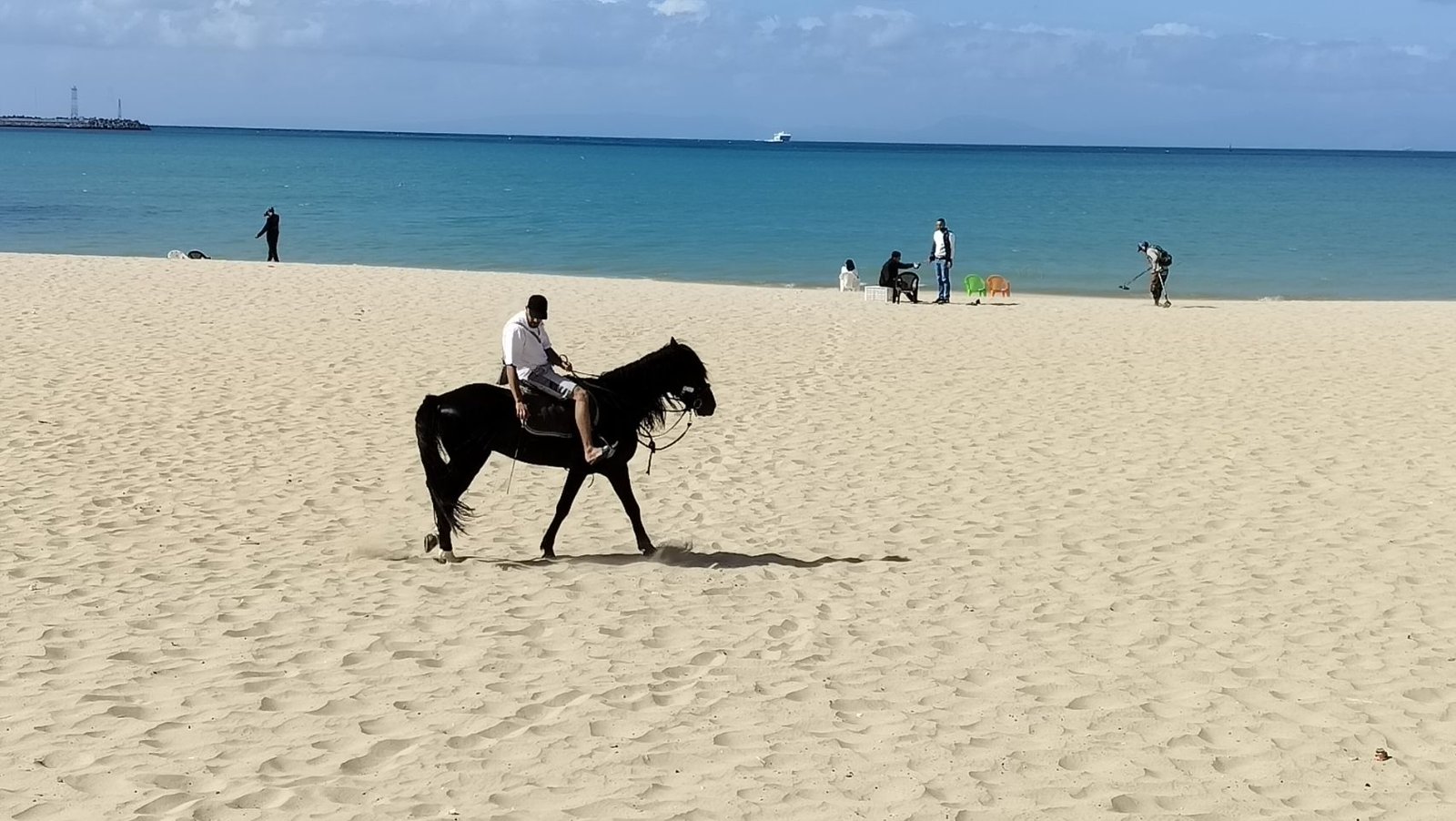 Cavalier monte un cheval sur une plage de sable ensoleillée, photo gratuite