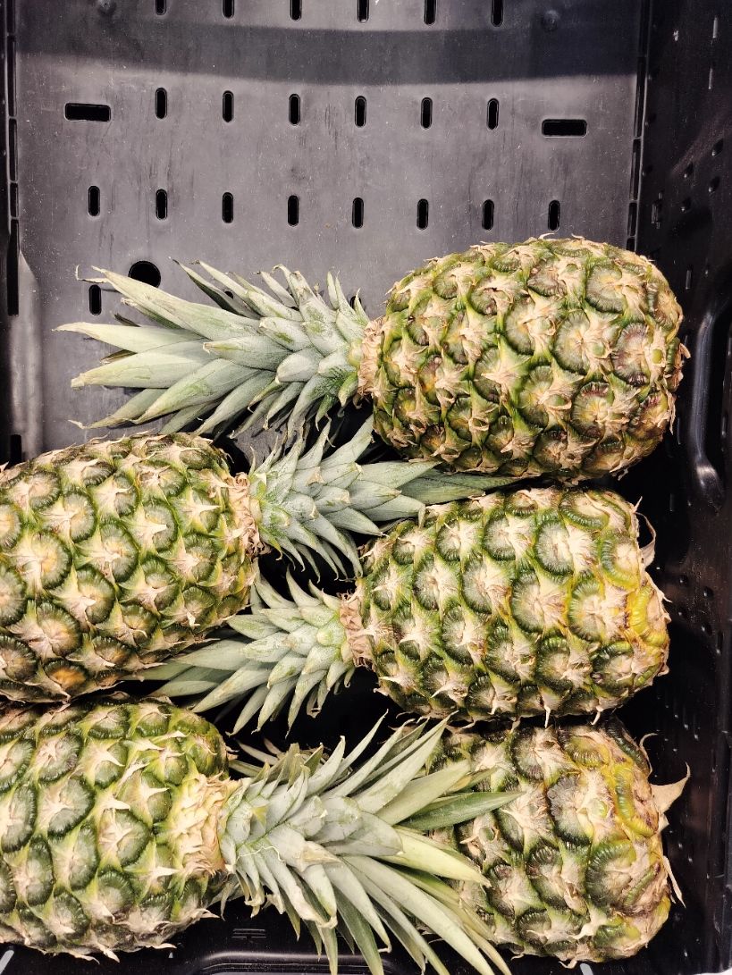 Epis d'ananas verts dans un panier