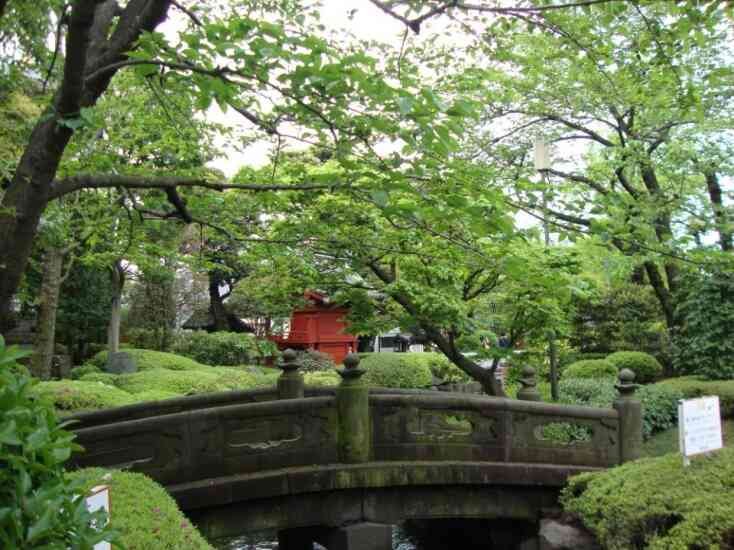 Pont dans un jardin japonais à Tokyo photo gratuite