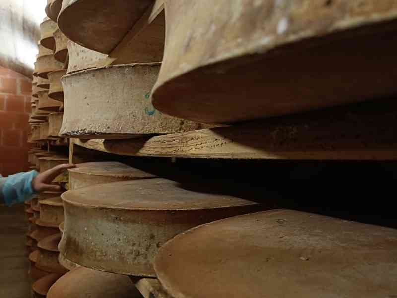 De meules de fromage dans une cave d'affinage, photo gratuite