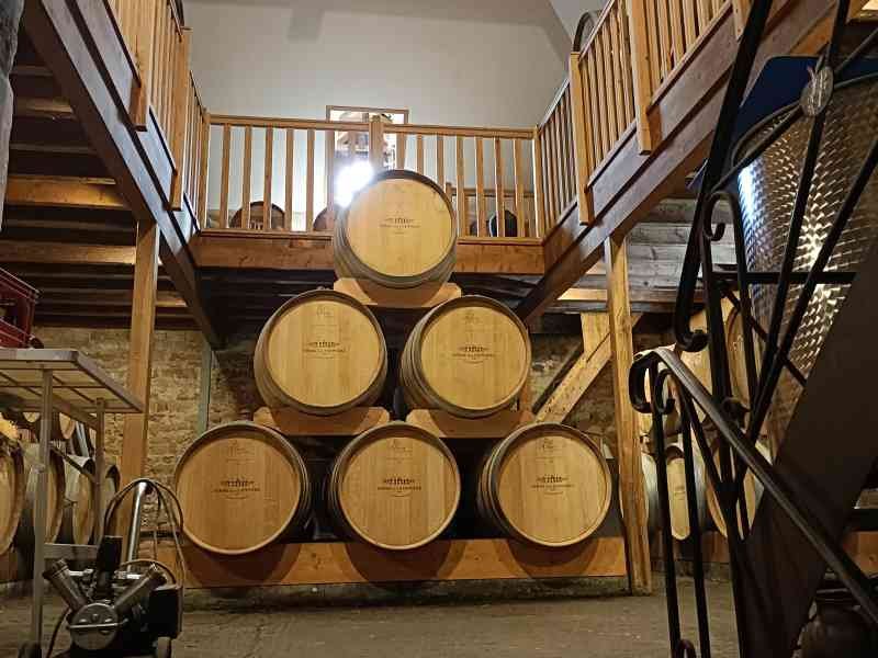 L'intérieur d'une cave à vin, avec des fûts de vin empilés, photo gratuite