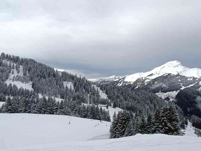 Un paysage de montagne enneigé, photo gratuite