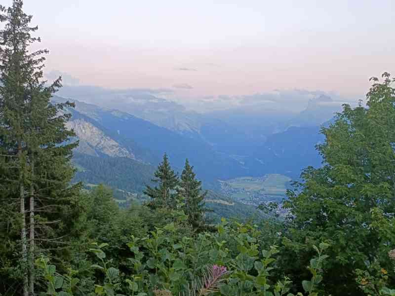 Un paysage montagneux avec des arbres et des buissons, photo gratuite