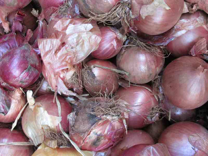 échalotes violettes