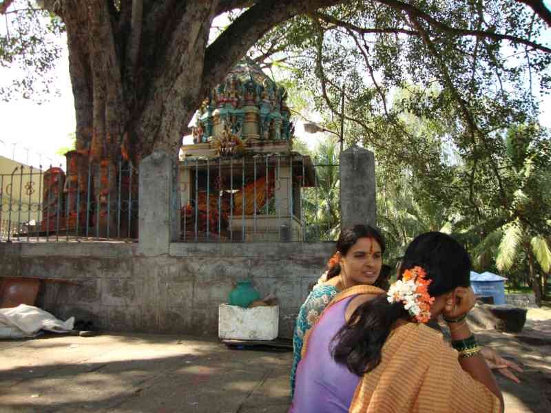 Deux femmes indiennes assises par terre, sous un arbre, photo gratuite