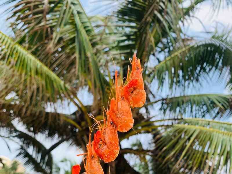 Brochette de crevettes photo gratuite