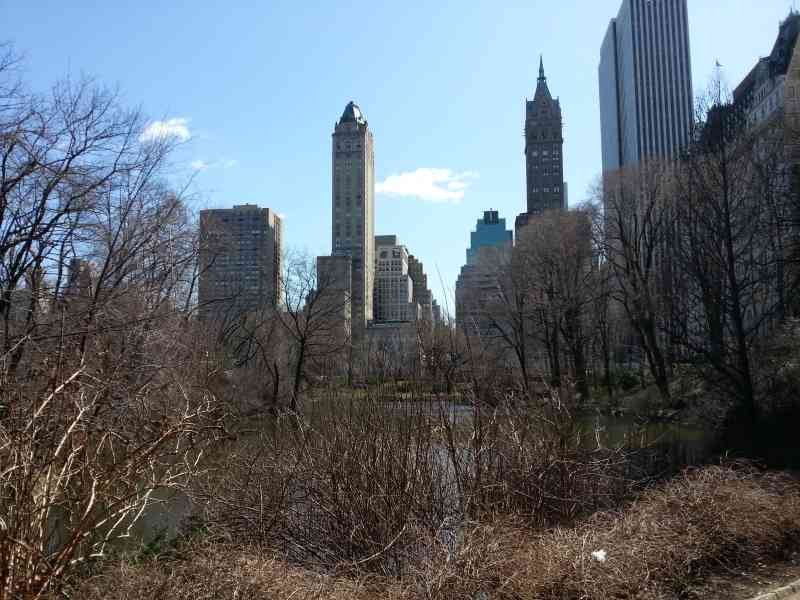 La façade de l'hôtel The Pierre près de du parc central à New-York, États-Unis photo gratuite