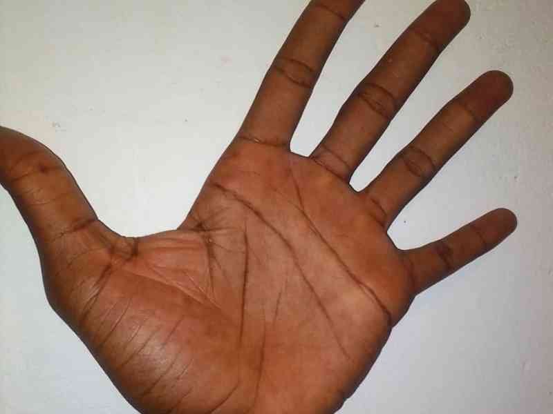 Les cinq doigts de la main photo gratuite