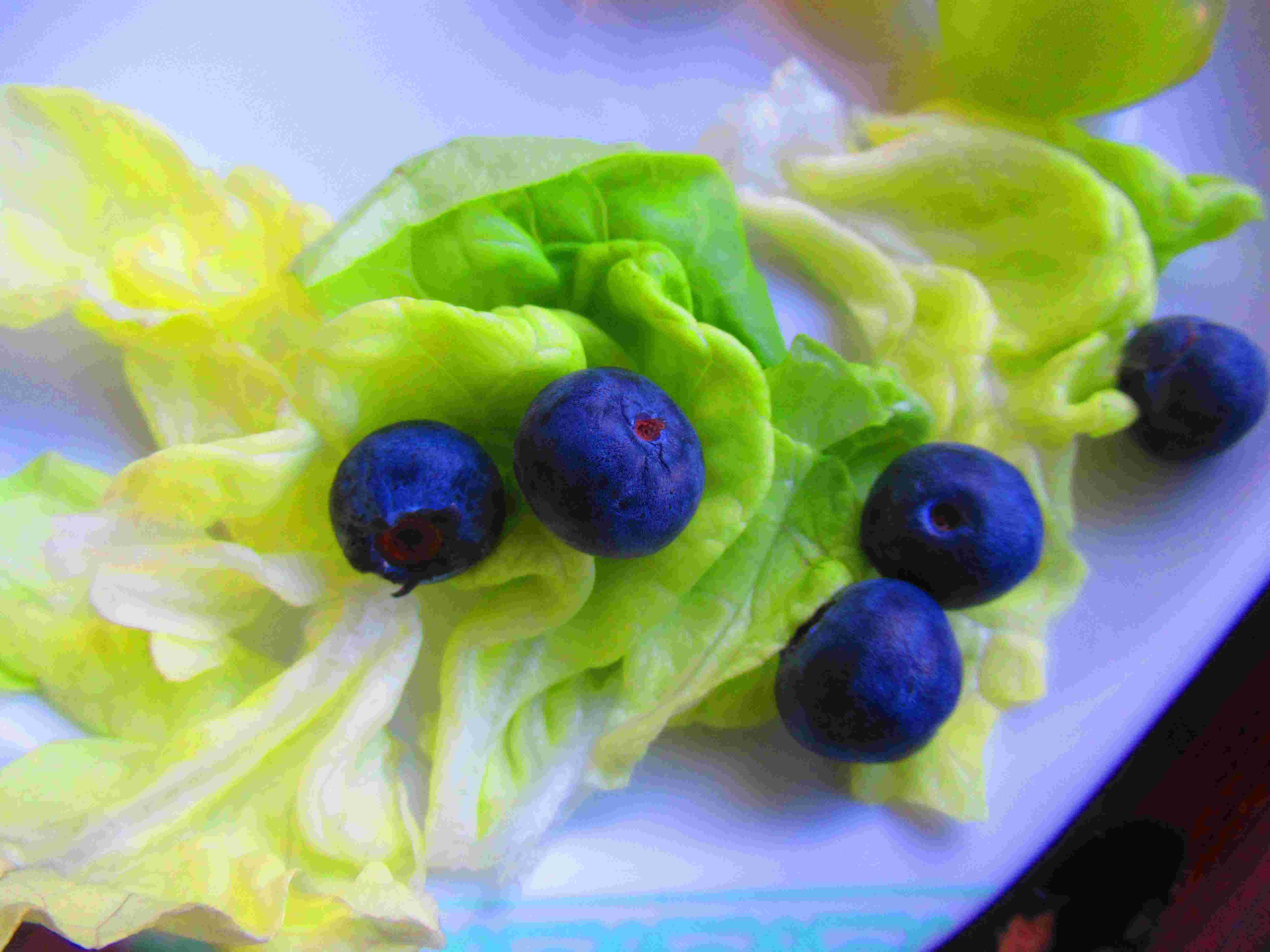 Salade verte myrtilles