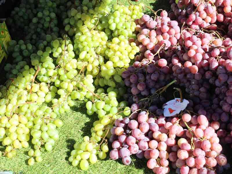 Deux variétés de raisins, photo gratuite