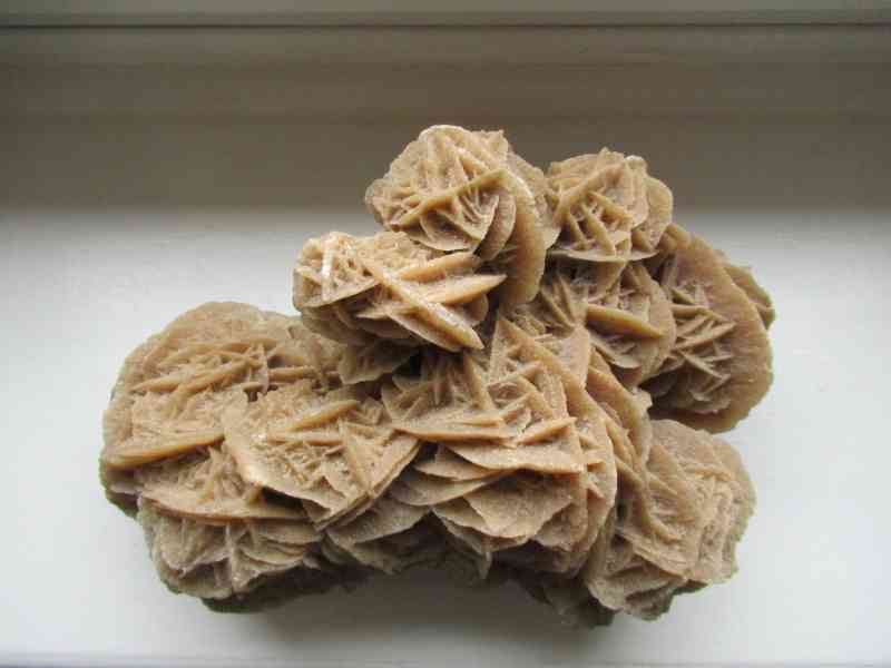 Rose des sables