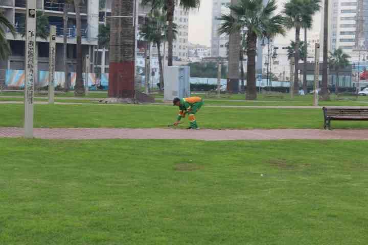 Un jardinier en plein nettoyage de la pelouse photo gratuite