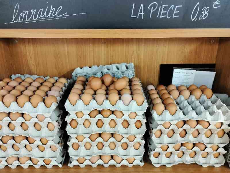 Palettes d'œufs en vente d'une ferme photo gratuite
