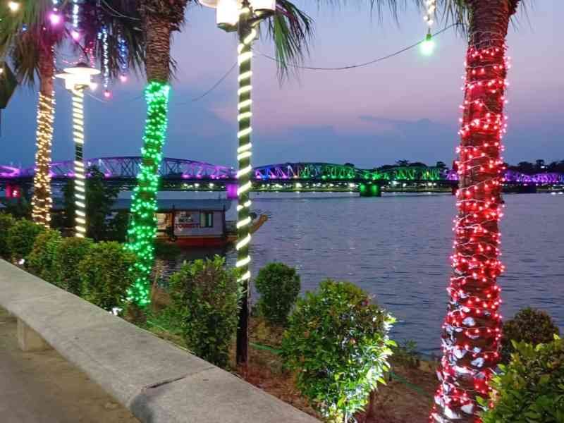 Palmiers décorés de guirlandes lumineuses colorées, Vietnam, photo gratuite
