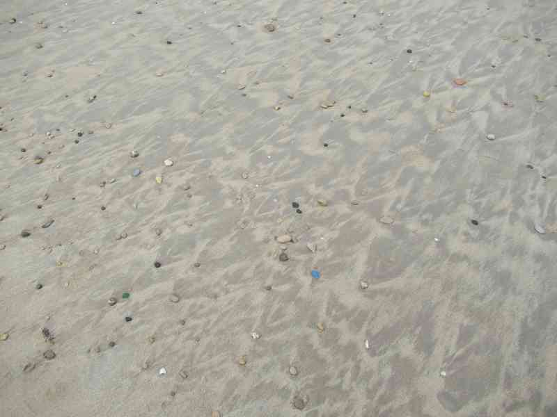 Pierres et coquillages sur une plage de la mer photo gratuite