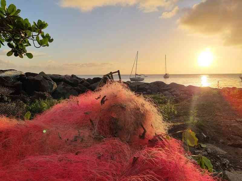 Coucher de soleil sur un port avec un filet de pêche rouge en avant plan photo gratuite