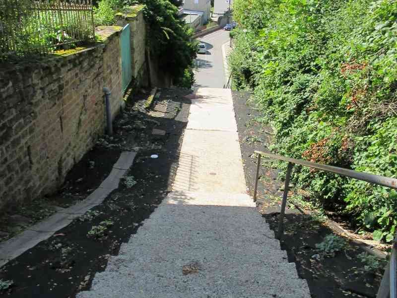 Escalier extérieur en béton, encadré de verdure dense et de murets en pierre photo gratuite